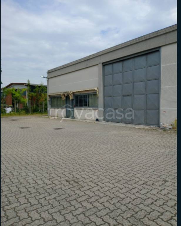 immagine annuncio 3 di 12