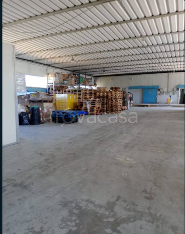 immagine annuncio 4 di 12