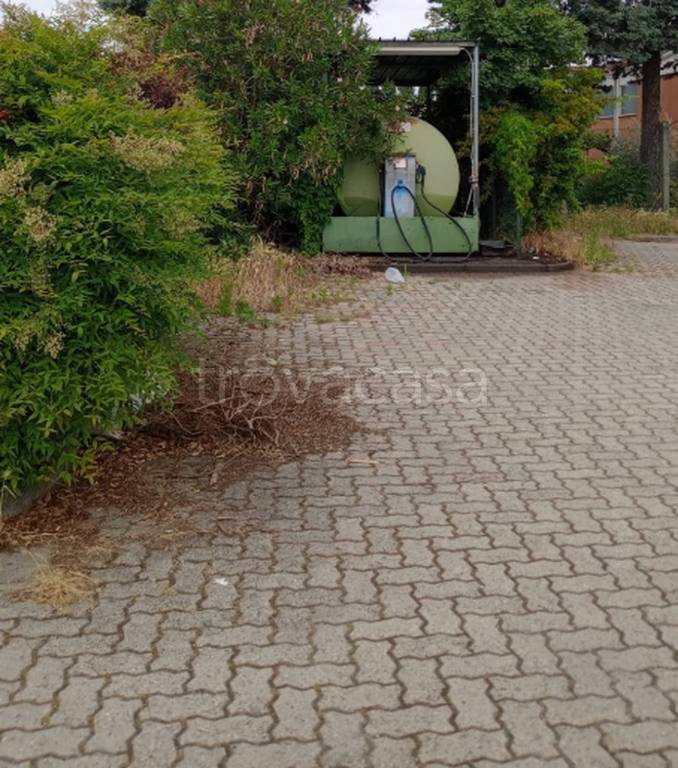 immagine annuncio 6 di 12