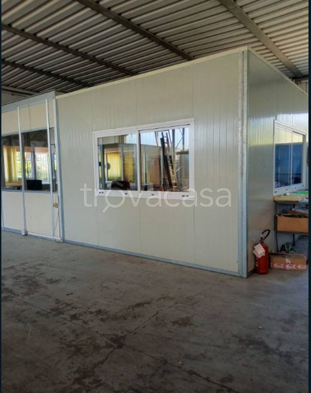 immagine annuncio 7 di 12