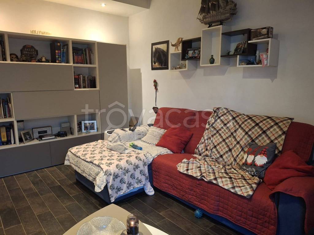 immagine annuncio 6 di 15