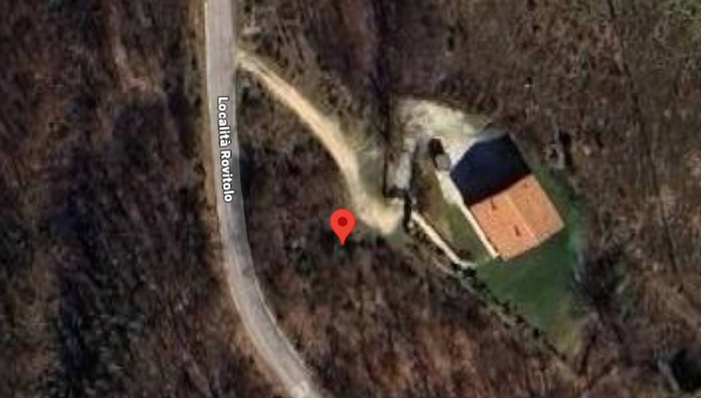 immagine annuncio 4 di 11