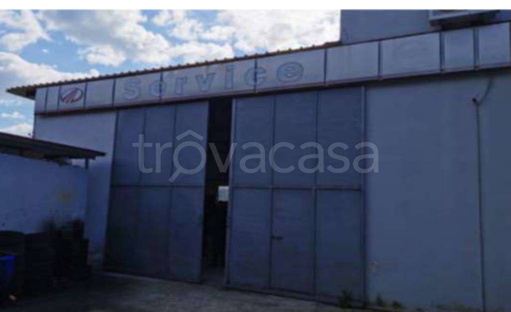 immagine annuncio 8 di 12