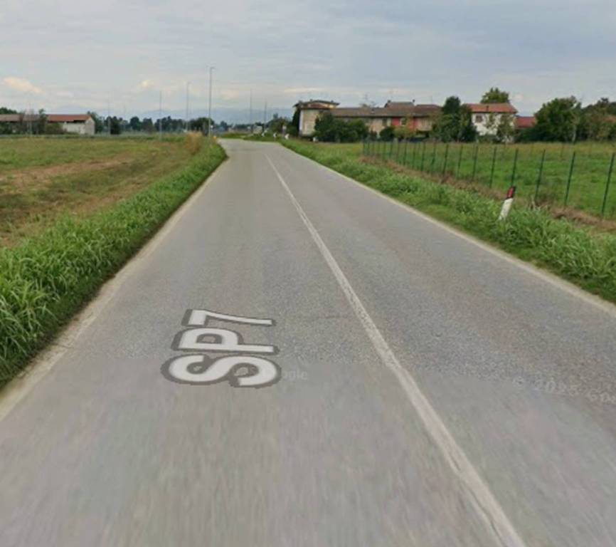 immagine annuncio 5 di 11