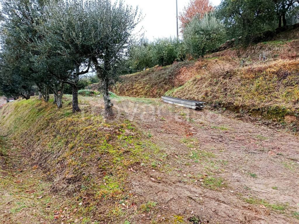 immagine annuncio 10 di 11