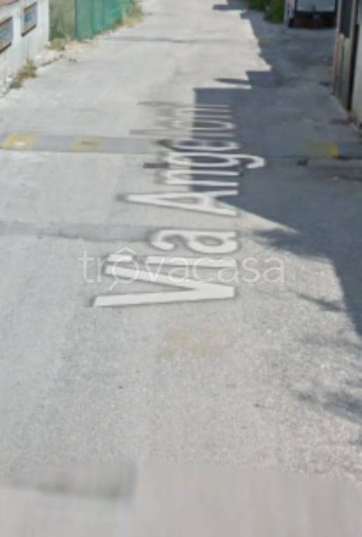 immagine annuncio 10 di 12