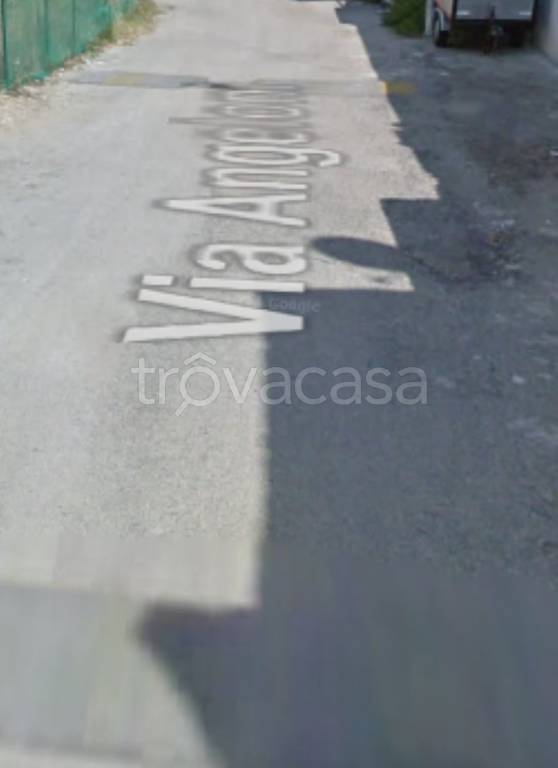 immagine annuncio 11 di 12