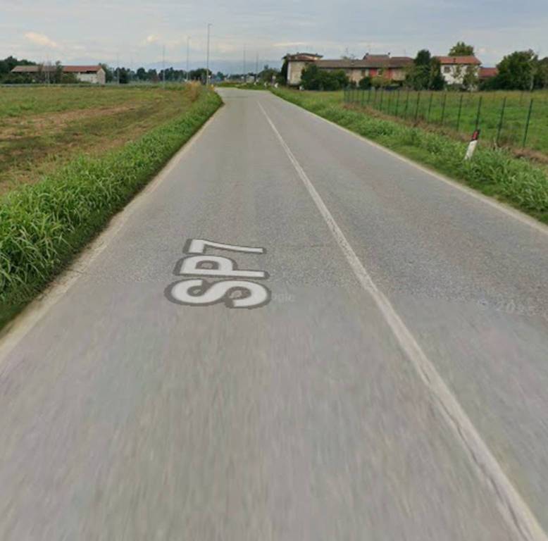 immagine annuncio 5 di 11