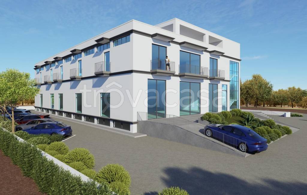 immagine annuncio 1 di 6