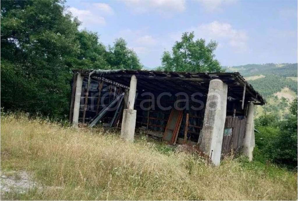 immagine annuncio 7 di 13