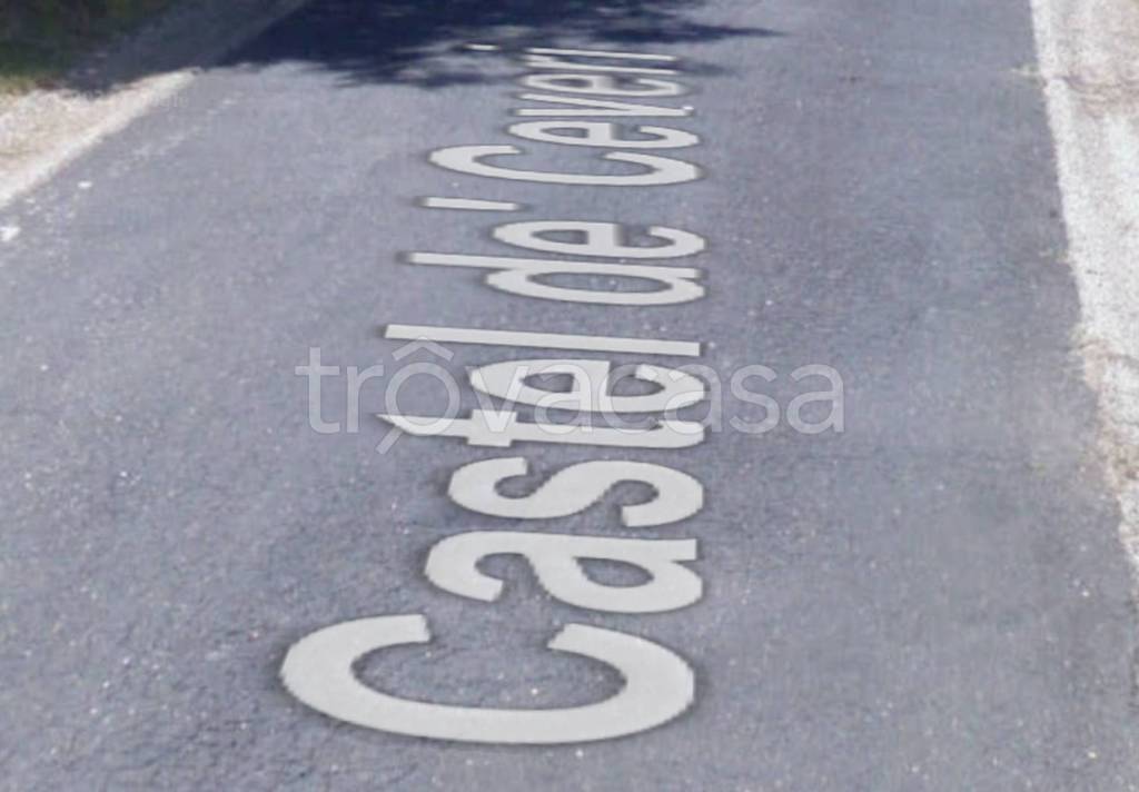 immagine annuncio 10 di 14