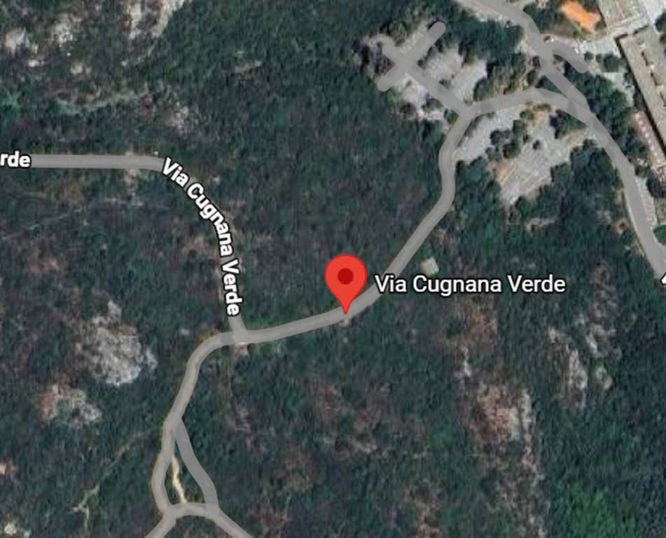 immagine annuncio 9 di 13