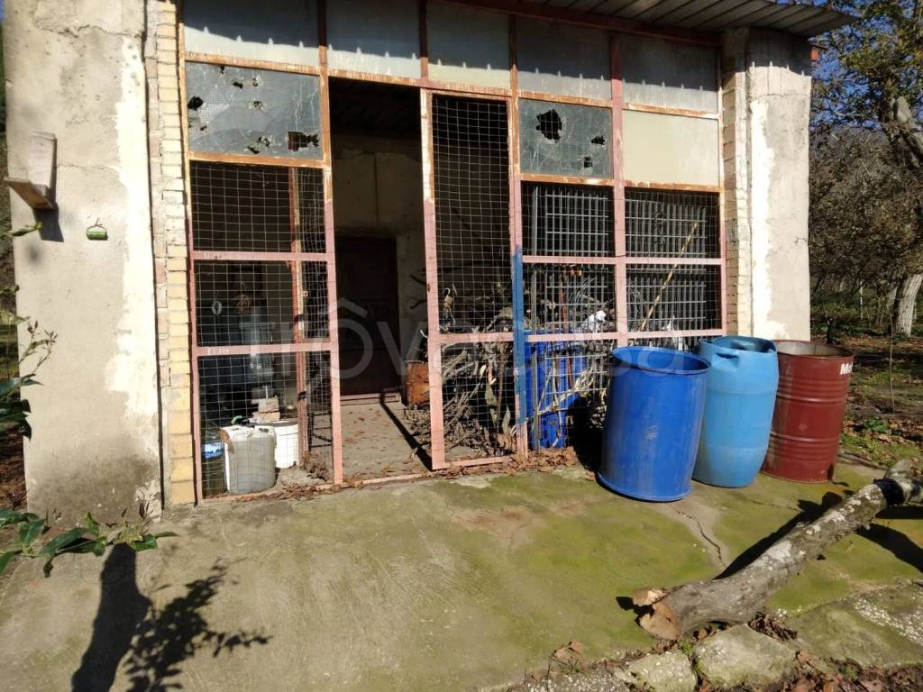 immagine annuncio 4 di 9