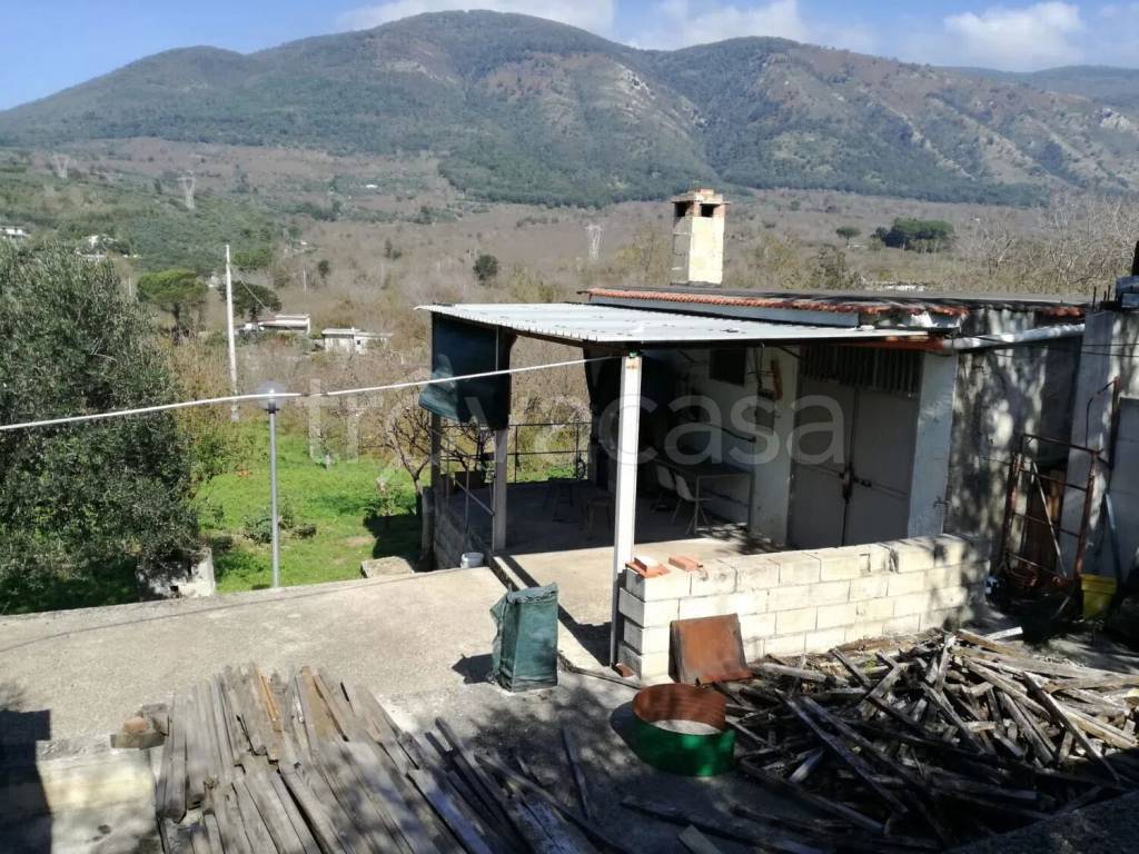 immagine annuncio 1 di 13