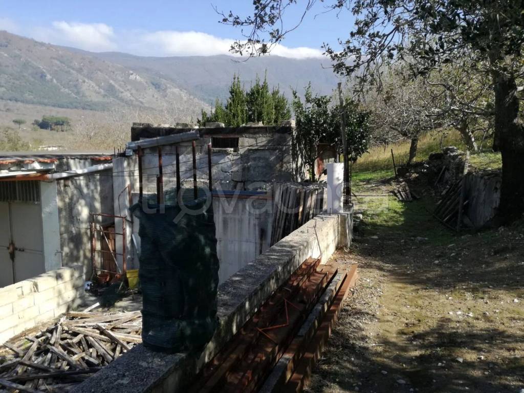 immagine annuncio 2 di 13