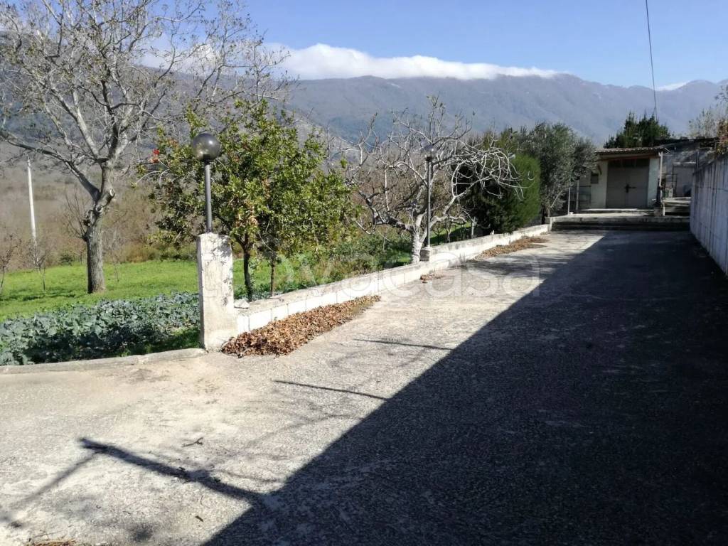 immagine annuncio 3 di 13