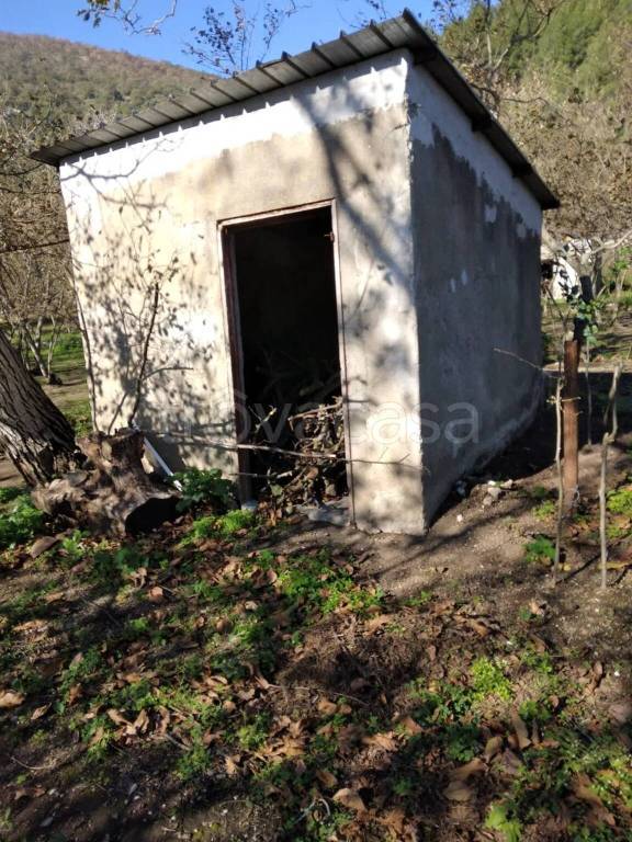 immagine annuncio 6 di 9