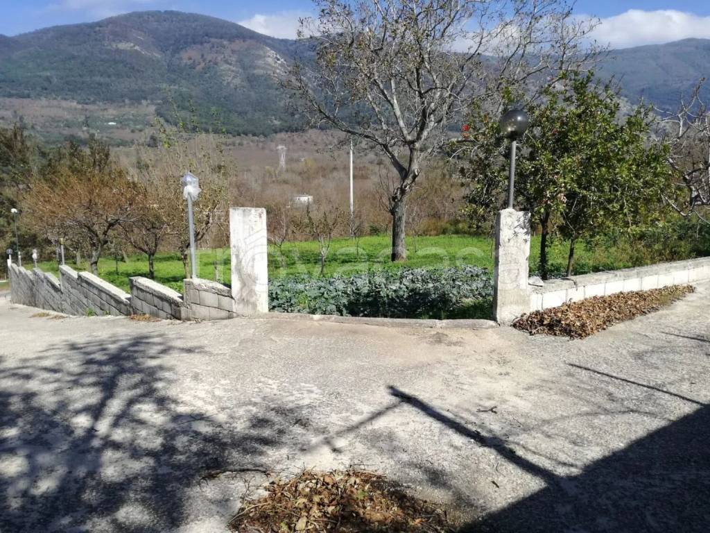 immagine annuncio 11 di 13