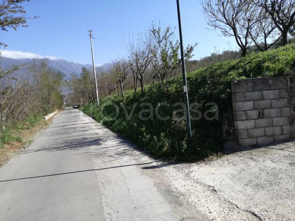 immagine annuncio 12 di 13