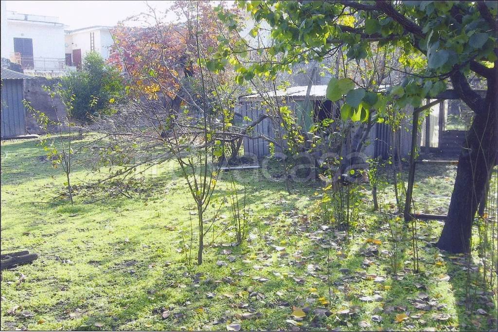 immagine annuncio 6 di 8