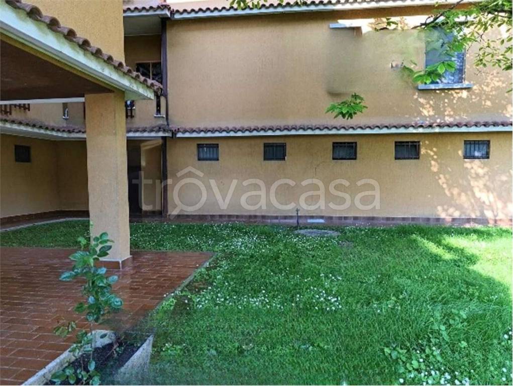 immagine annuncio 9 di 11