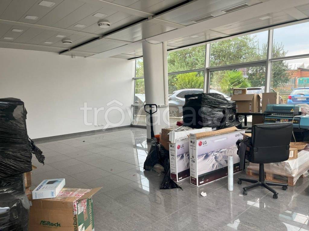 immagine annuncio 12 di 15