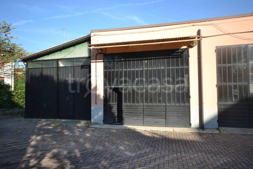 immagine annuncio 3 di 11