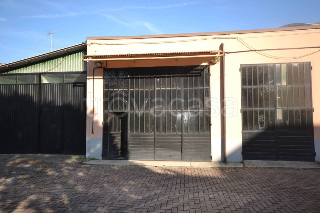 immagine annuncio 4 di 11