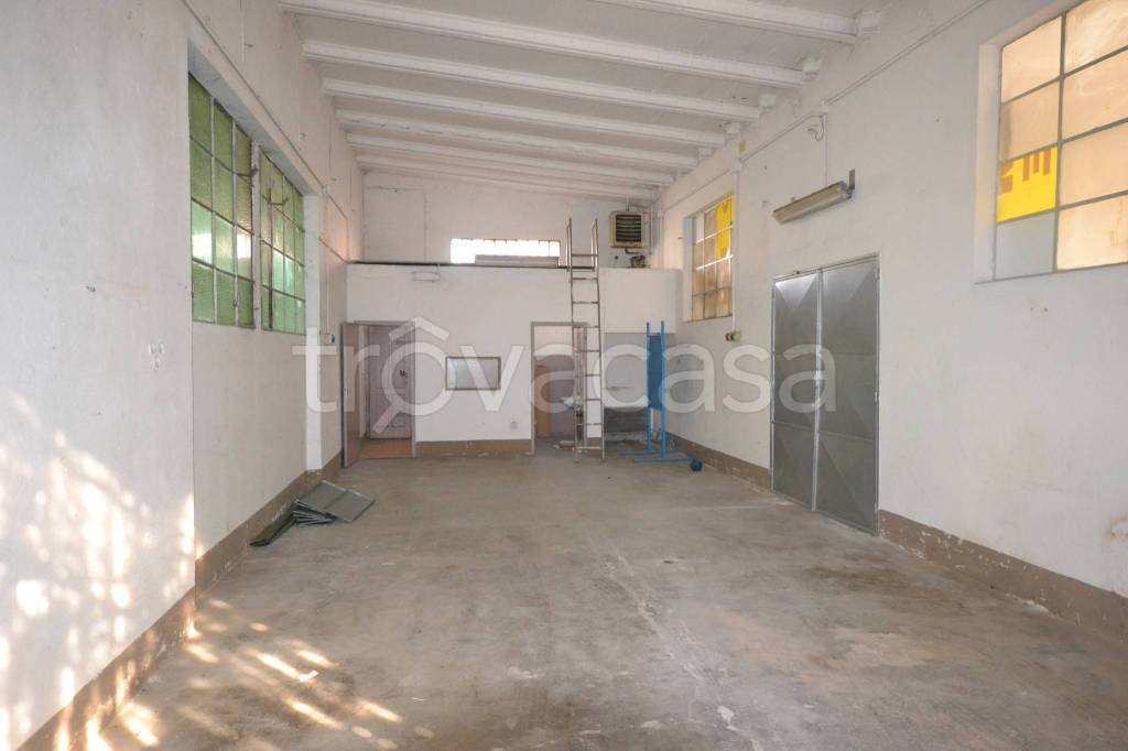 immagine annuncio 5 di 11