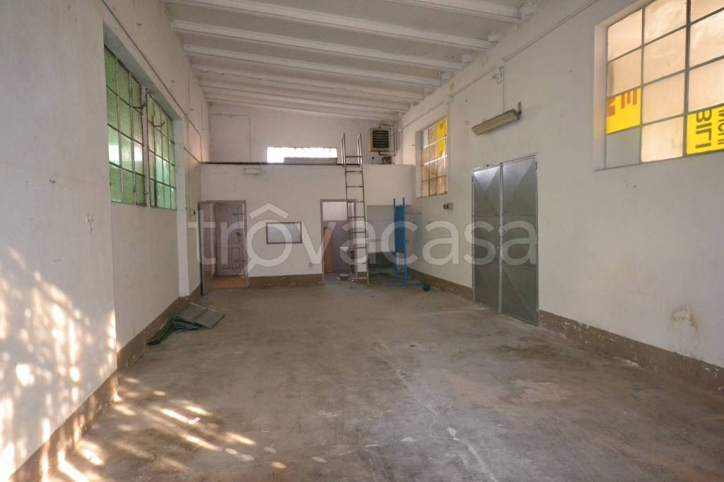 immagine annuncio 6 di 11