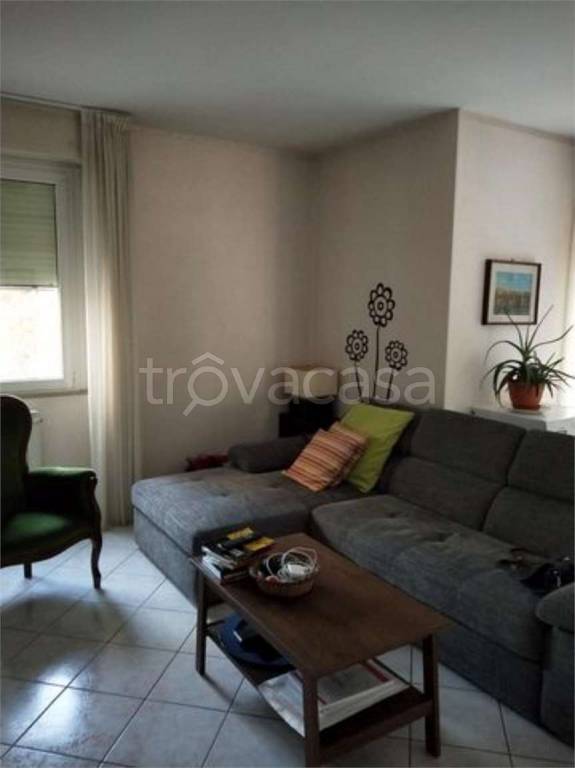 immagine annuncio 9 di 14