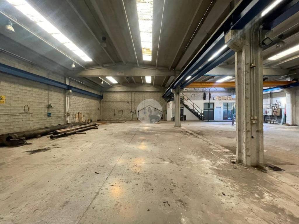 immagine annuncio 3 di 6