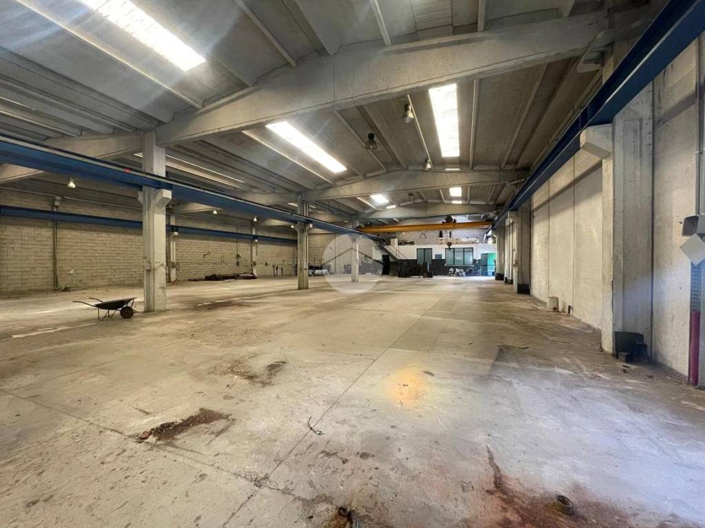 immagine annuncio 4 di 6