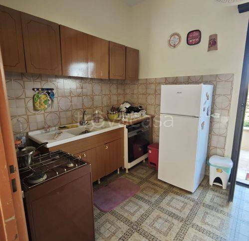 immagine annuncio 9 di 14