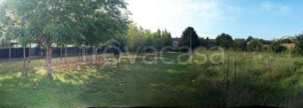 immagine annuncio 5 di 12