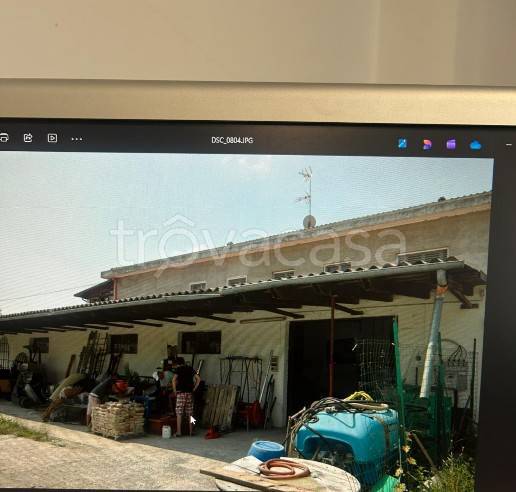 immagine annuncio 3 di 6