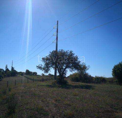 immagine annuncio 5 di 7