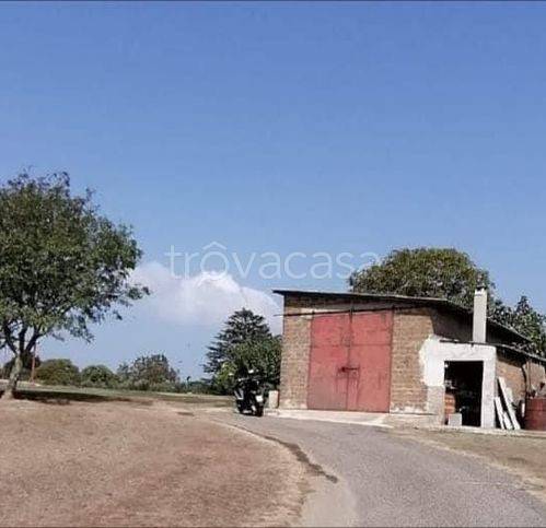 immagine annuncio 8 di 11