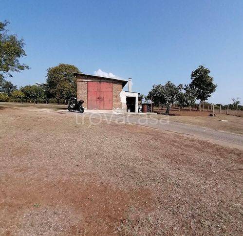 immagine annuncio 9 di 11