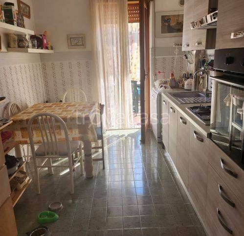 immagine annuncio 3 di 11