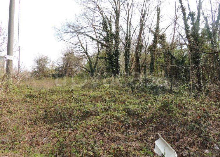 immagine annuncio 3 di 7