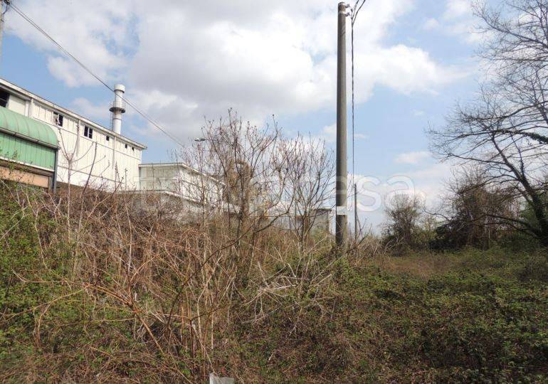 immagine annuncio 4 di 7