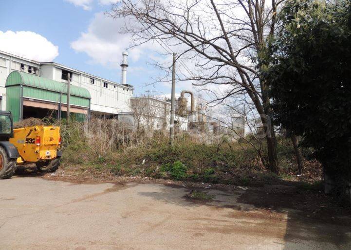 immagine annuncio 5 di 7