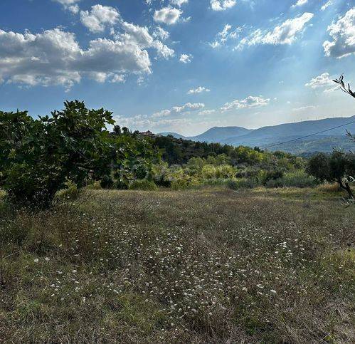 immagine annuncio 2 di 14