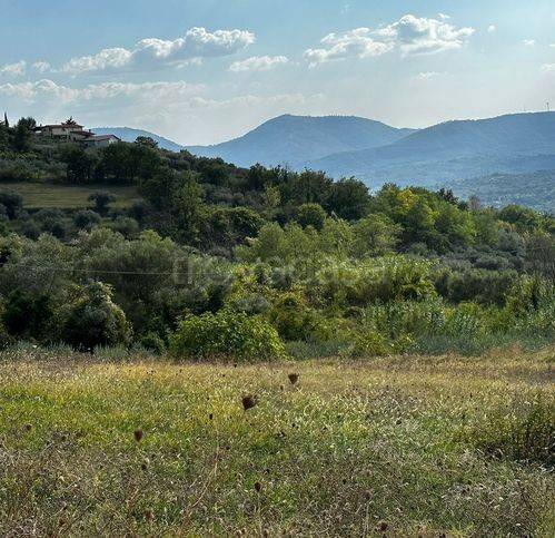 immagine annuncio 3 di 14