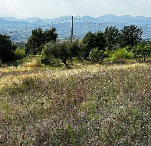 immagine annuncio 5 di 14