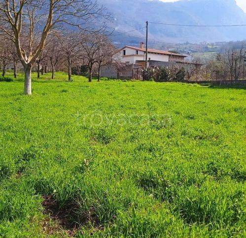 immagine annuncio 3 di 14