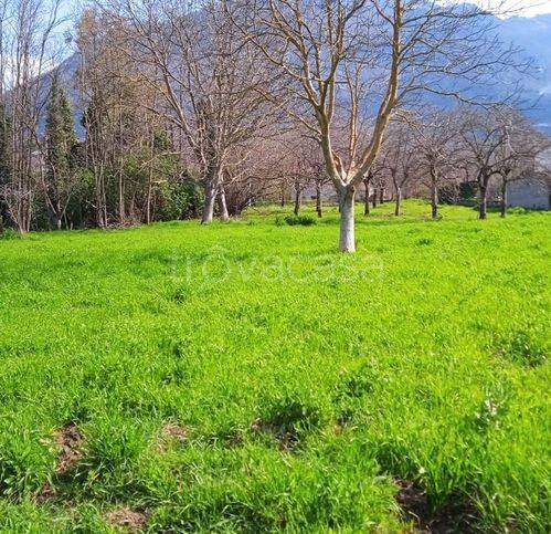 immagine annuncio 4 di 14