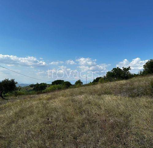 immagine annuncio 7 di 14