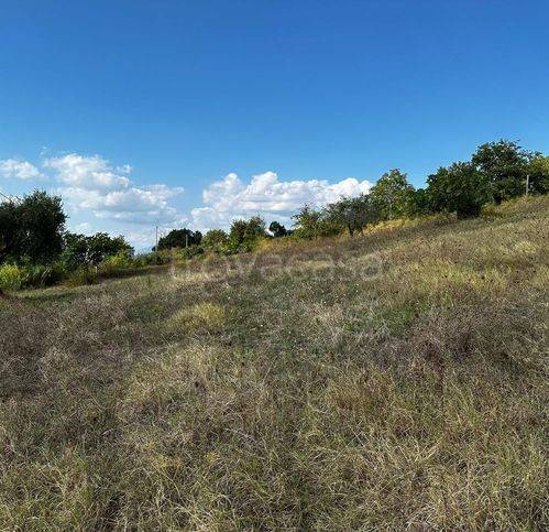 immagine annuncio 8 di 14